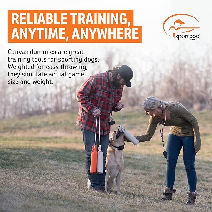 SportDOG Canvas Dummies - Hunting Dog Training Tool - Game Scent Absorber - Water-Ready Bumper - Durable Field Dummy - Weighted Toy - Puppy Size - 2.25" W X 8.5" L - Natural