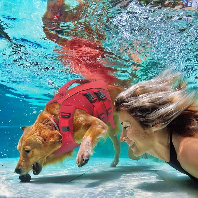 Queenmore Red Large Dog Life Vest for Swimming Boating, Adjustable Ripstop Dog Life Jacket with Superior Buoyancy and Rescue Handle
