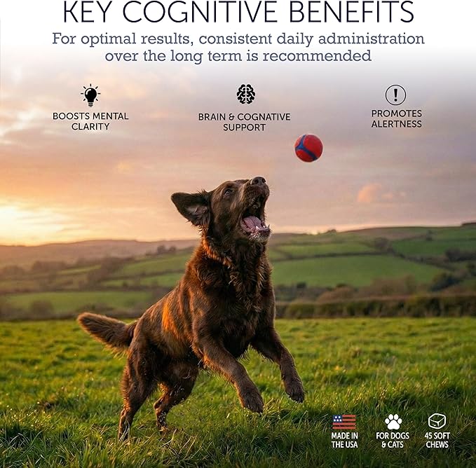Dog Cognitive Supplement - Supports Senior Dog Memory, Alertness, and Behavior with DHA (Omega 3) and Ashwagandha - Helps Promote Brain Health and Focus in Aging Dogs - 45 Soft Chews