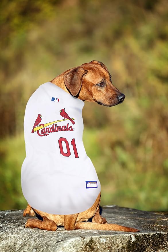 Official MLB St. Louis Cardinals Pet Jersey for Dogs & Cats, Size XX-Large - Stylish Baseball Jersey for Your Furry Fan- Show Off Team Spirit with The Perfect Fan Apparel Gear for Pet, Dog & Cat