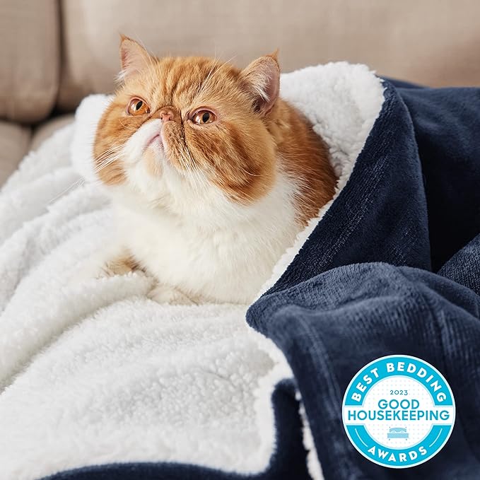 Bedsure GentleSoft Sherpa Fleece Blanket Queen Size for Bed, Non-Heated, Thick and Warm Throw for Women and Men, Soft Fuzzy Plush Weight Queen Blanket for Winter, Navy, 90x90 Inches