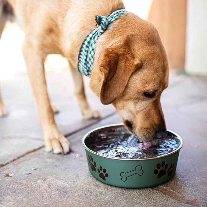 Loving Pets Bella Dog Bowls- Stainless Steel Dog & Cat Bowls - Spill Proof Dog Food Bowl, Cat Bowl, Puppy Essentials & Pet Supplies Great for Home & Travel (X-Large 65-100lbs, Artichoke)
