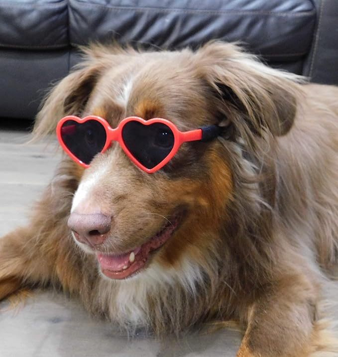 G012 Dog Pet Heart Shape Costume Prop Sunglasses Medium Breeds 20lb-40lbs (Red)