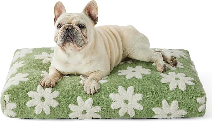 LE SURE Dog Beds Medium Size-Thick Shredded Chopped Foam Pet Bed as Gift for Indoor with Removable Cover, Cute Modern Fuzzy Plush & Anti Slip Bottom, Green