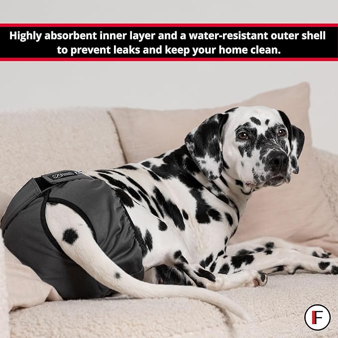 FINNERO Brenda Reusable Dog Diaper, Leak-Proof, Adjustable, Heat & Incontinence Protection, XS – Gray