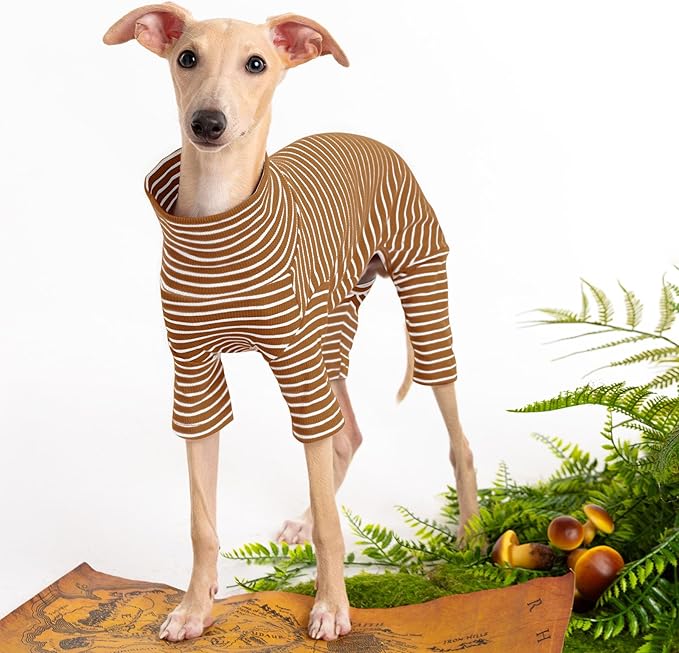 Dog Sweaters for Small Dogs Girls Boys, Striped Pet Sweaters for Fall Winter Dog Clothes, Turtleneck Pullover Knitwear for Small Medium Large Dogs