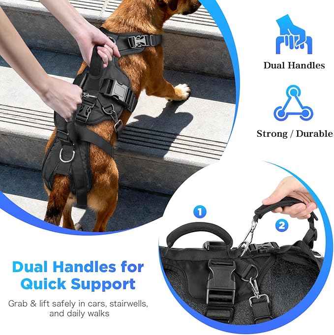 Dog Lift Harness, Full Body Support & Recovery Sling with Rear Leg Strap – Pee-Able Design for Large/Medium Dogs, Mobility Aid Harness for Senior, Injured, Disabled, Arthritic & Post-Surgery Pets (XXL