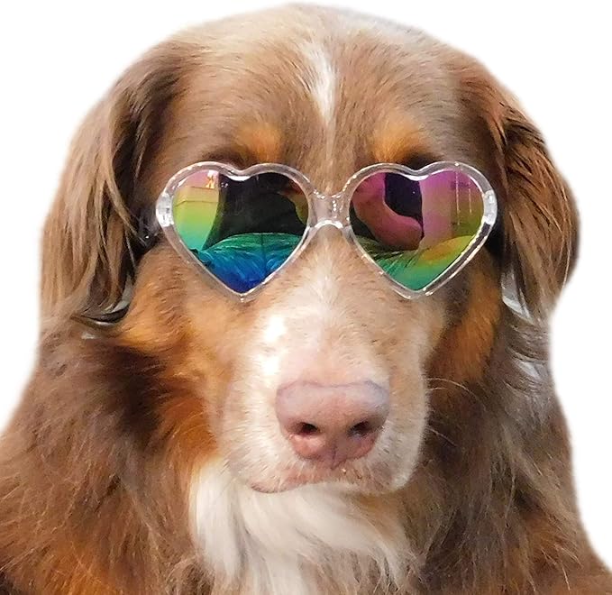 G012 Dog Pet Costume Prop Sunglasses Heart Shape Medium Breeds 20lb-40lbs (2-Pack Clear-Rainbow mr+Pink-Pink mr)