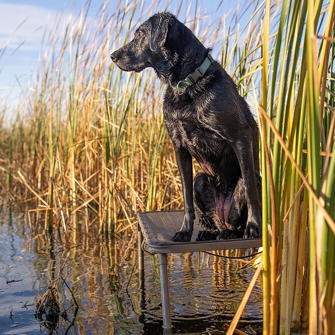 Avery ASD Quick Stand for Dog 90066 - Hunting Water-Draining Mesh Bed with Steel Frame & Adjustable 20" to 31" Non-Slip Feet