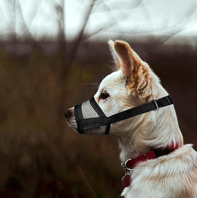 Flintstone Dog Muzzle for Small Dogs – Soft Air Mesh Small Dog Muzzle | Breathable Muzzles to Prevent Biting Chewing Grooming | Drinkable Mussels for Dogs X-S (3.9”- 5.1”)