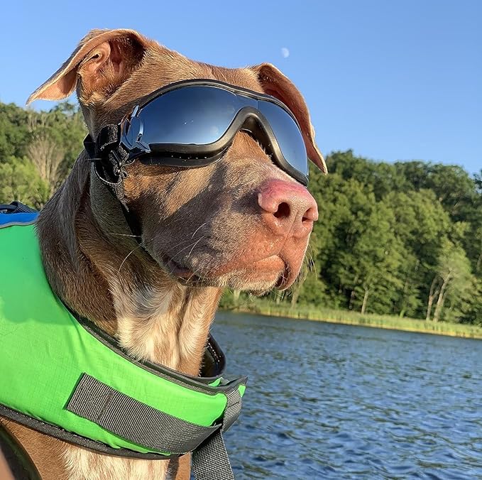 NAMSAN Dog Goggles Medium to Large Breed, Anti-UV Sunglasses for Dogs Large Breeds, Windproof Driving Dog Eye Protection, Doggy Glasses with Elastic Straps, Adjustable, Black