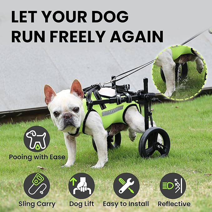Adjustable Dog Wheelchair for Back Legs, for All Breed Dog - Includes High-Visibility Vest, Leash & Sling Lift, Lightweight Pet Wheelchair for Disabled Hind Legs (Medium, for Small Breed Dog)
