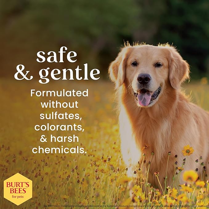 Burt's Bees for Pets Dog Detangling Spray, Natural Leave-In Coat Detangler & Dog Deodorizing Grooming Spray with Lemon, pH Balanced for Dogs, Paraben & Sulfate Free, 10 Fl Oz - 2 Pack