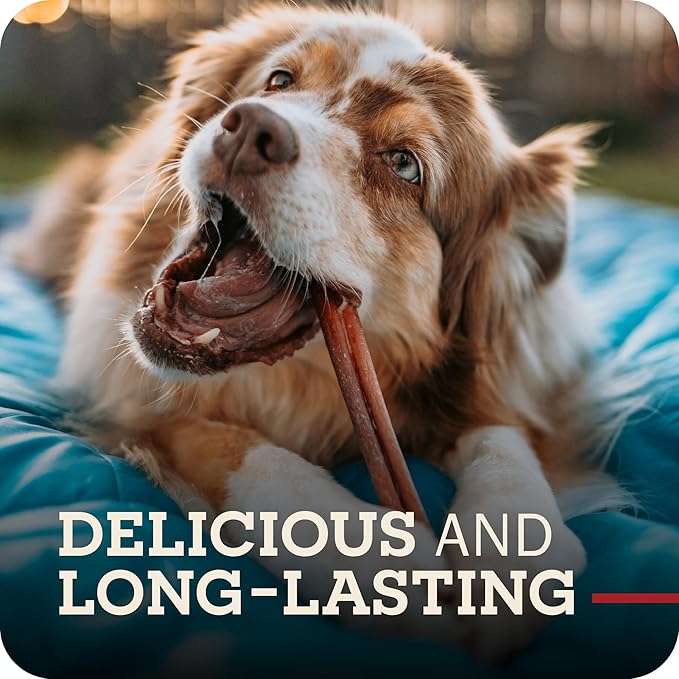 Redbarn Braided Bully Sticks 5" Dog Treats, 5-in chew, case of 30