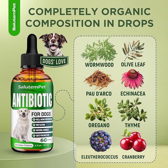 Dog Antibiotics for Infections, Cough, & Itching | Natural Antibiotics for Dogs for All Ages to Promote Wound Healing | Dog UTI Treatment and Tooth Infection Treatment | Chicken Flavor | 2 Oz