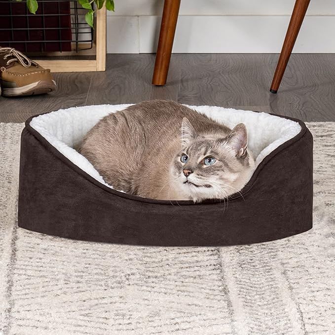 Furhaven Orthopedic Dog Bed for Small Dogs w/ Removable Washable Cover, For Dogs Up to 12 lbs - Sherpa & Suede Oval Lounger - Espresso, Small