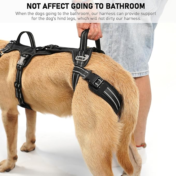 COODEO Mobility Dog Lift Harness, Support Sling & Walking Sling for Dogs, Pet Rear Leg Rehabilitation Support Vest, Dog Carrier for Senior Dogs with Joint Injuries, Arthritis, Up Stair (Black, M)
