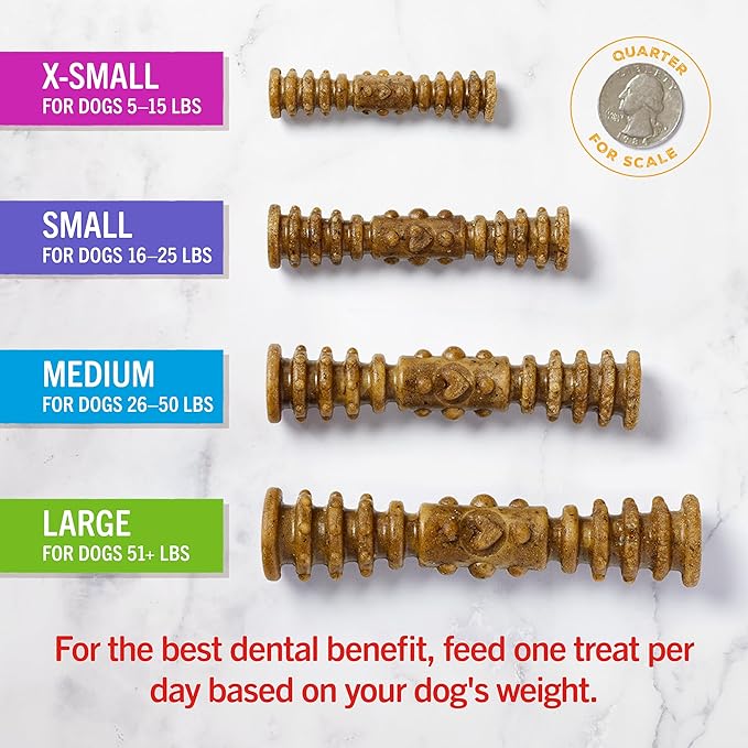 Stella & Chewy's Dental Delights with Freeze-Dried Chicken - Large Dental Treats for Dogs, Single Serve