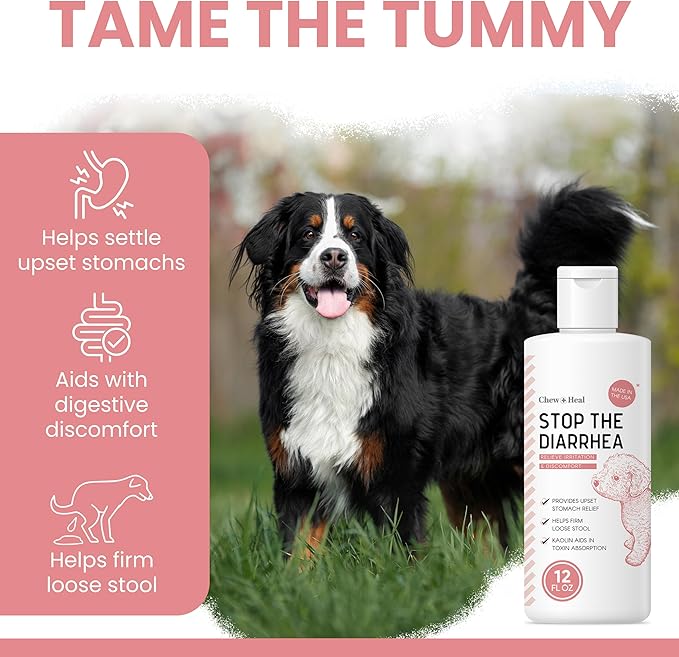 Chew + Heal Labs Dog Diarrhea Medication – Fast Acting Anti Diarrhea Liquid for Dogs, Kaolin Pectin Formula, Loose Stool & Upset Stomach Relief, Digestive Support, All Breed Sizes, Made in USA, 2oz