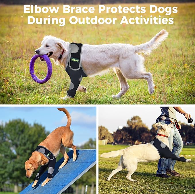 Dog Elbow Protector for Front Leg, Helps Protect Against Hygroma, Calluses, Arthritis, Dysplasia & Pressure Sores, Anti-Licking Support with Reflective Design, Right Leg, Size M