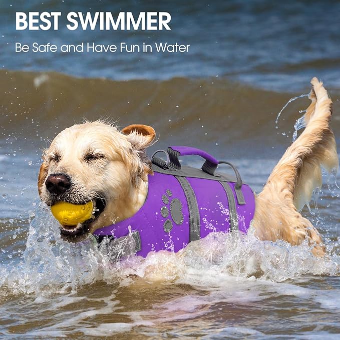 Queenmore Puppy Life Jackets for Small Dogs, XS Dog Life Jacket, Small Dog Life Vest for Swimming, Lightweight Extra Small Dog Life Vest with Handle Adjustable Dog Life Vest for Boating, Cat Lifevest