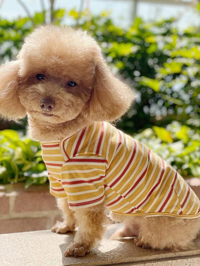 Dog Shirts Cotton Striped T-Shirt, Summer Pet Clothes for Small Dogs, 2-Pack Soft Puppy Apparel Cat Tee, Breathable Stretchy, Blue Yellow S