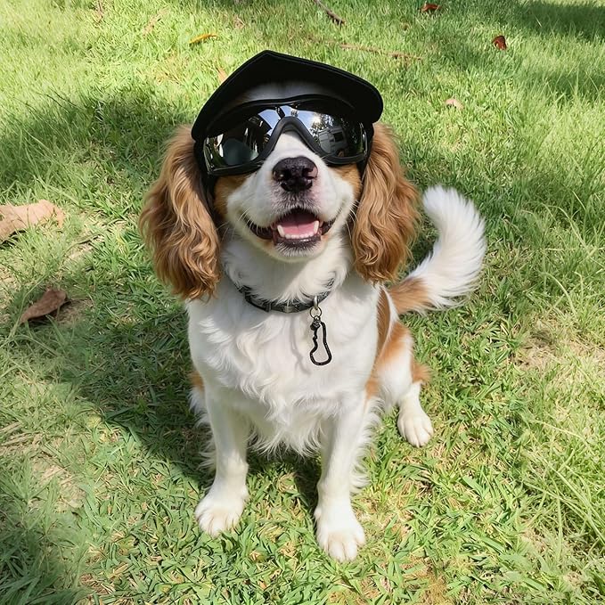 NAMSAN Dog Goggles Small Breed, Anti-UV Sunglasses for Dogs Small Breeds, Windproof Driving Dog Eye Protection, Puppy Glasses with Elastic Straps, Adjustable, Black
