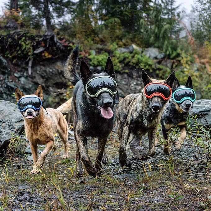 Rex Specs V2 Dog Goggles (X-Large, Black)