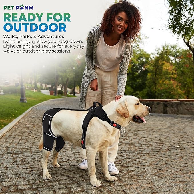 Comfortable Dog Knee Brace for Both Hind Legs with Harness - for ACL Tear, Luxating Patellae, Osteoarthritis & Instability - for Recovery & Injury Prevention in Active/Aging Dogs - (Large)