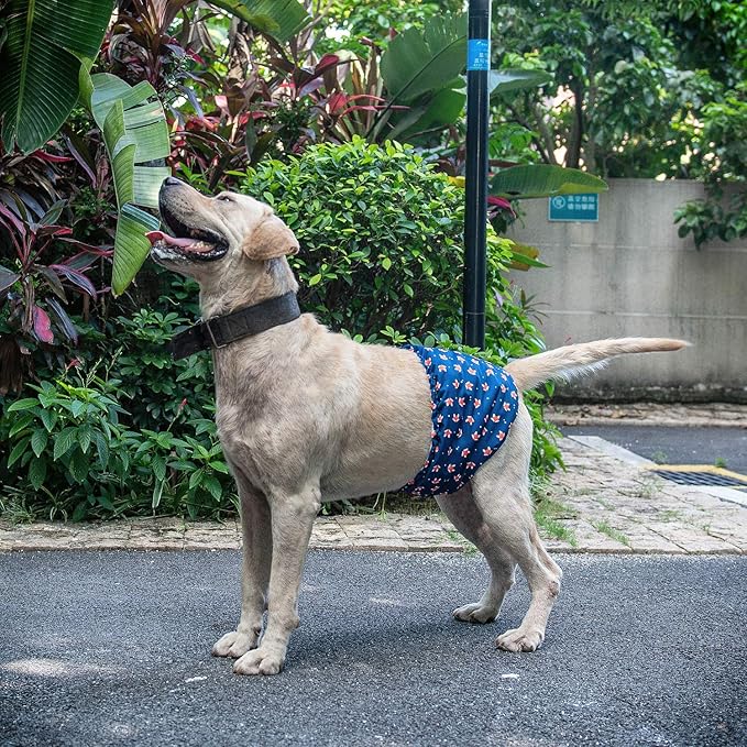 CuteBone Belly Wrap Male Dog Washable Puppy Diapers Reusable Doggie Diapers Small 3pcs a Pack DM02S