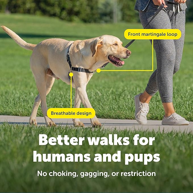 PetSafe Easy Walk No-Pull Dog Harness - The Ultimate Harness to Help Stop Pulling - Take Control & Teach Better Leash Manners - Helps Prevent Pets Pulling on Walks, Medium, Apple Green/Gray