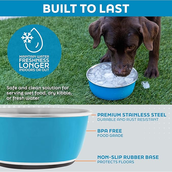 Master Pet Supply Stainless Steel Dog Bowls Set of 2 (16 Oz Each) with Non-Slip Rubber Base - Bone White - Basic Dog Food Bowl Water & Food Bowls for Small Medium Large Dogs & Cats, Metal Dish
