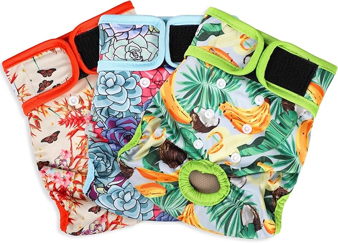 Washable Female Dog Diapers - Premium Reusable Diapers for Doggie in Heat - Highly Absorbent Dog Diapers Female for Pet Incontinence with Adjustable Snaps (Succulents, XL)