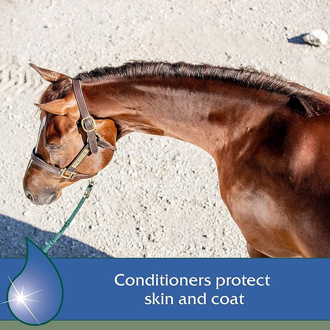 Farnam Vetrolin Bath Ultra-Hydrating Shampoo for Horses and Dogs, 32 Ounces