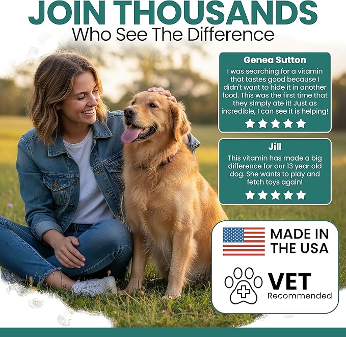 12-in-1 Dog Multivitamin Soft Chews, 120 Ct - Dog Vitamins & Supplements, Glucosamine Chondroitin, Probiotics, Omega 3 - Hip & Joint, Skin & Coat, Immune Support for Puppy & Senior Dogs - Chew + Heal