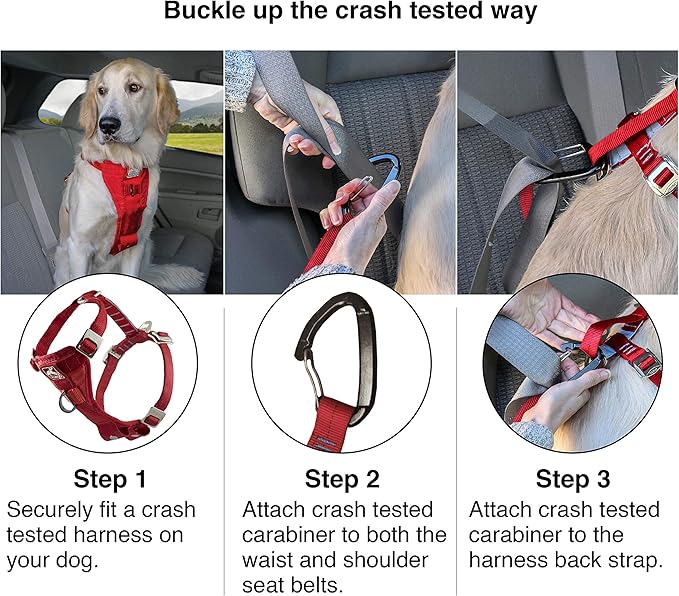 Kurgo Enhanced Strength Tru-Fit Dog Car Harness - Pet Travel Safety Harness - Crash Test Certified Fit - Five Point Adjustment - Secure Buckle - Padded Chest - Ink Blue - X-Small