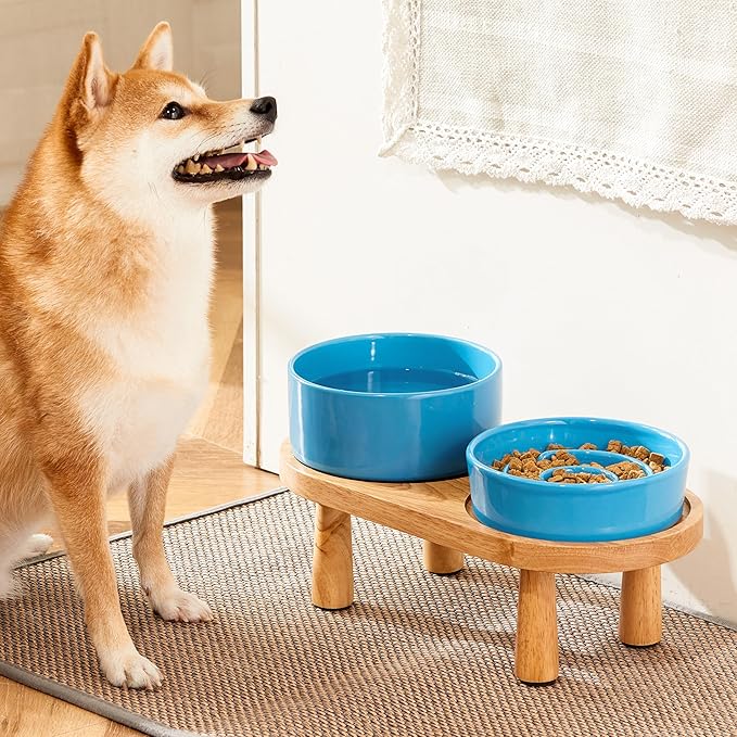 Ceramic Slow Feeder and Water Bowl Set for Small Dogs, 6.0 Inch Ceramic Dog Bowls Elevated with Wooden Stand, 0.6 Cups Dog Slow Feeder(14oz) and 30oz Water Bowl Set, Blue