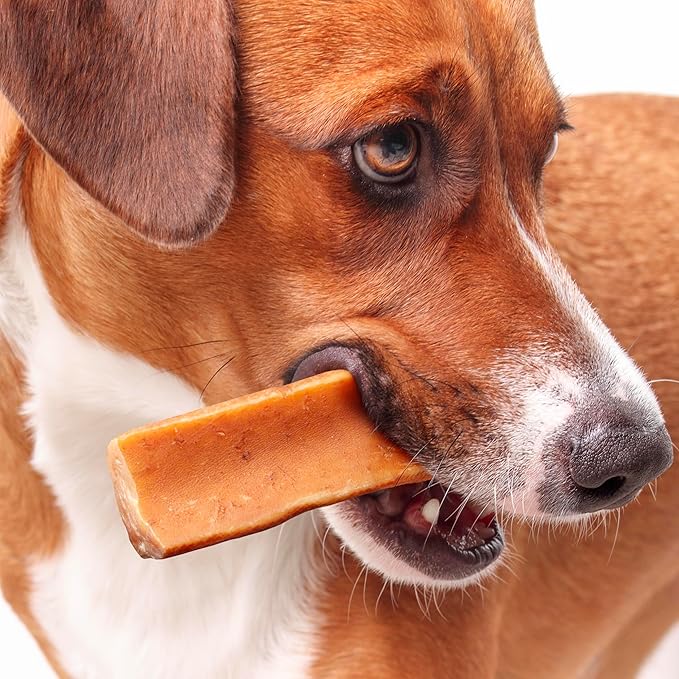 Yak Cheese Chews Blueberry, Strawberry, Peanut Butter, Mint Medium Pack 4 - Himalayan Yak Chews for Dogs - Natural Dog Chew