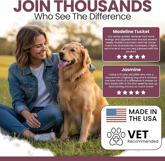 12-in-1 Multivitamin for Senior Dogs - 120 Senior Dog Vitamin and Supplement Soft Chews for Hip and Joint - Advanced Formula with Glucosamine, Omega 3,6,9, Vitamins, Probiotics - Made in the USA