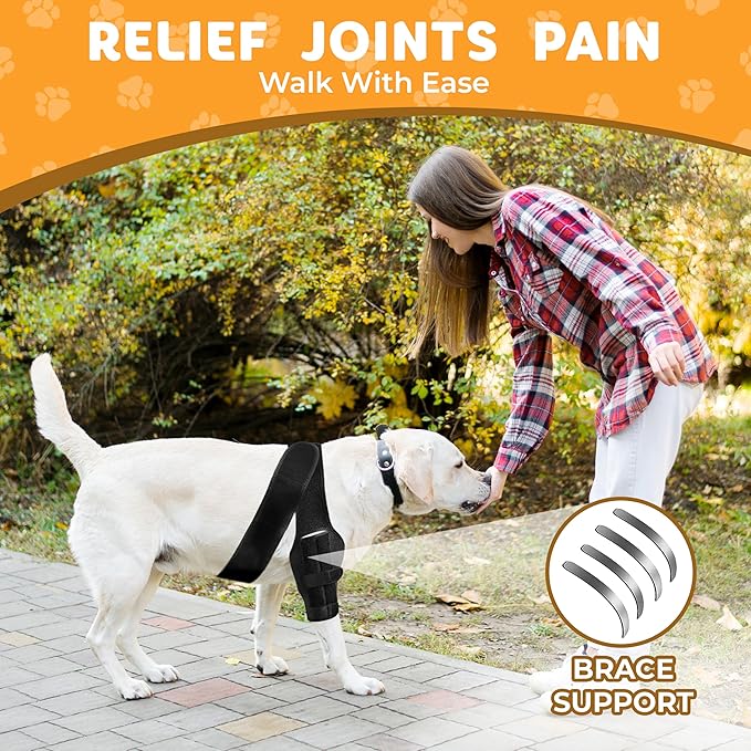 New Dog Knee Brace for Luxating Patella, ACL or Cruciate Ligament Injury Recovery, Osteoarthritis, Hip Dysplasia, or Arthritis Pain Relief, Flexible Spring Support (Medium), Black