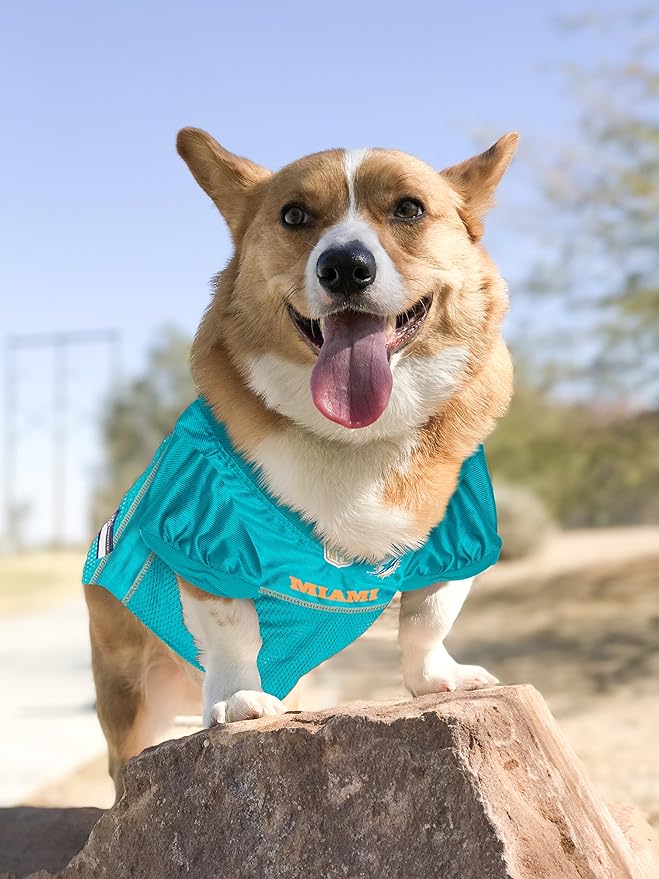 NFL MIAMI DOLPHINS DOG Jersey, Medium