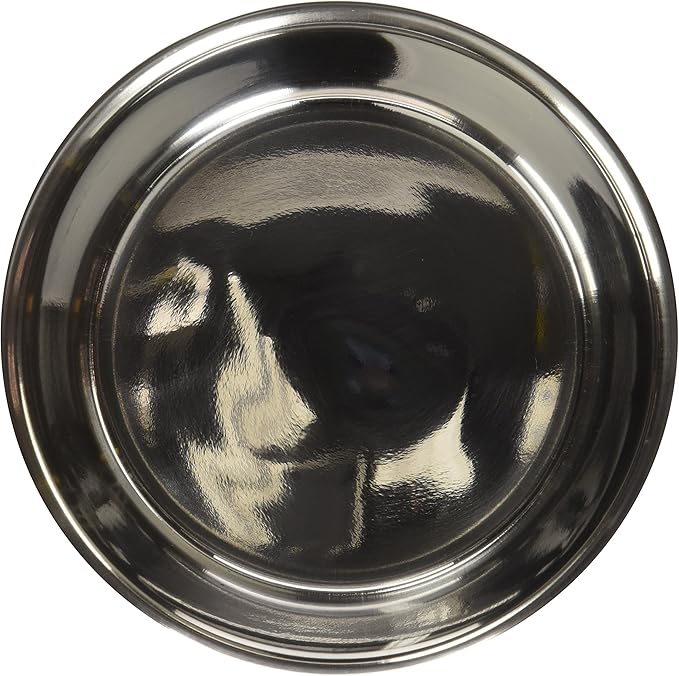 Fuzzy Puppy Food & Water Bowl for Cats & Dogs, Heavy-Duty Stainless Steel, Silver, 1 Pint