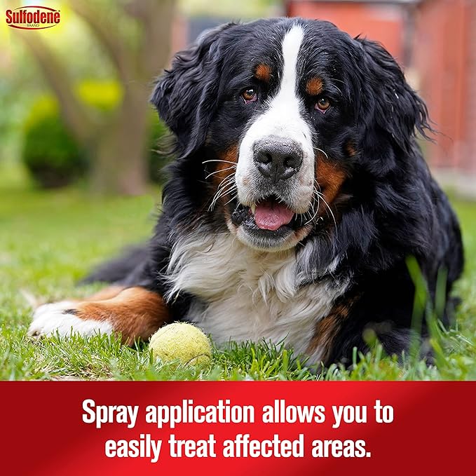 Sulfodene Hot Spot & Itch Relief Medicated Spray for Dog 8oz,(Pack of 2)