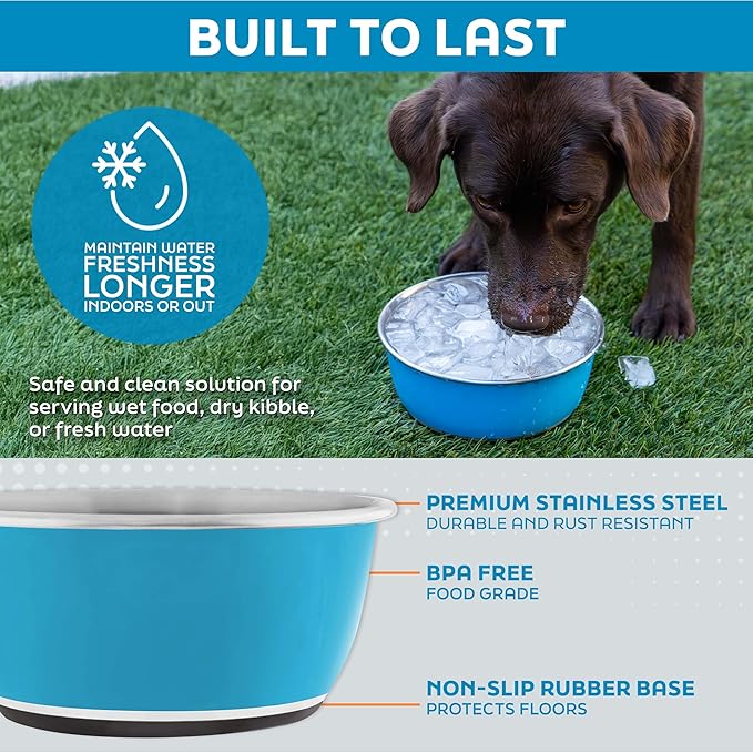 Master Pet Supply Stainless Steel Dog Bowls Set of 2 (16 Oz Each) with Non-Slip Rubber Base - Hyper Pink - Basic Dog Food Bowl Water & Food Bowls for Small Medium Large Dogs & Cats, Metal Dish