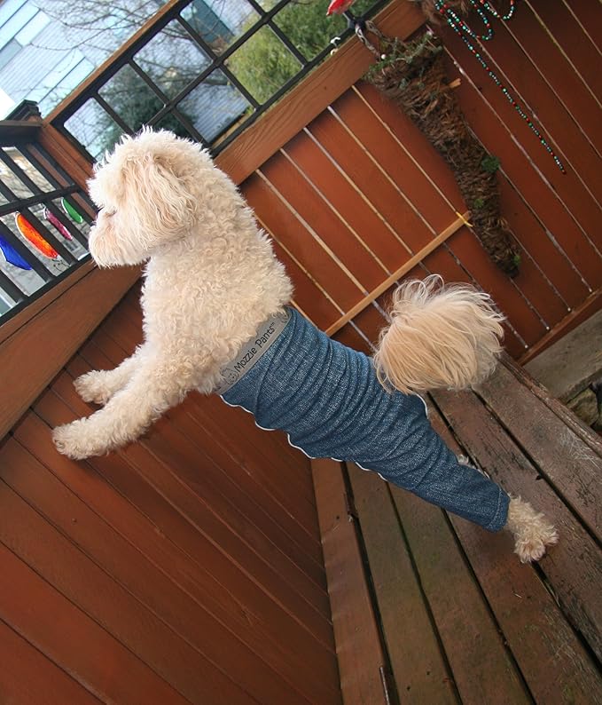 Original Dog Pants, E-Collar Alternative, Dog Pajamas, Dog Diaper, Small Dog, Blue