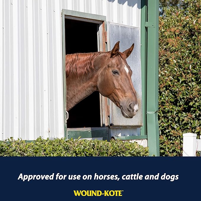 Farnam Wound-Kote Blue Lotion Spray Horse Wound Care for use on Horses and Dogs, Antiseptic Properties, for Minor Wounds, Cuts and Sores, 7 Oz.