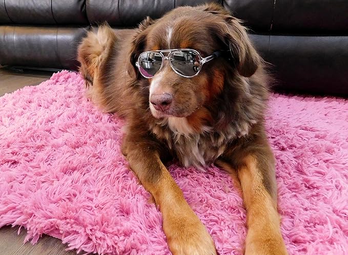 G010 Dog Pet Costume Prop Aviator Sunglasses Medium Breeds 20-40 lbs (2-Pack Black+Crystal Clear-Mirror)