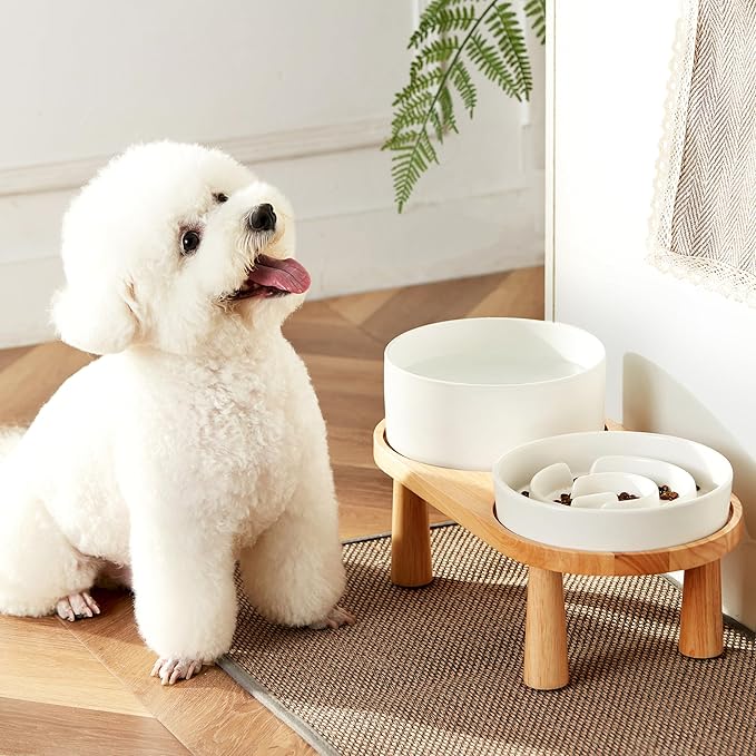 Ceramic Slow Feeder and Water Bowl Set for Medium and Large Dogs, 8.0 Inches Ceramic Dog Bowls Elevated with Wooden Stand, 2.0 Cups Dog Slow Feeder(30oz) and 70oz Water Bowl Set, White