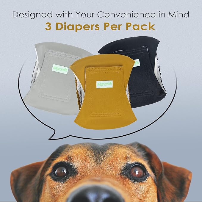Wegreeco Washable Male Dog Belly Wrap - Pack of 3 - (Gold,Black,Grey,X-Small)