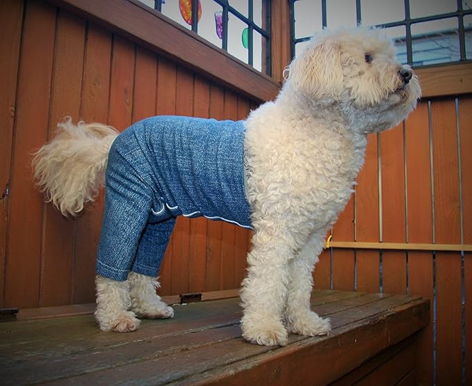 Original Dog Pants, E-Collar Alternative, Dog Diaper, Dog Pajamas, Medium Dog, Blue